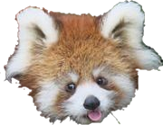 redpandableppng emote for Discord