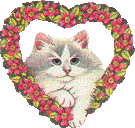 Catheart emote for Discord