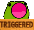 triggered_froggo emote for Discord