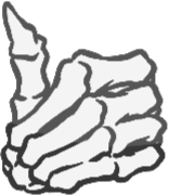 SkeletonThumbsUp emote for Discord