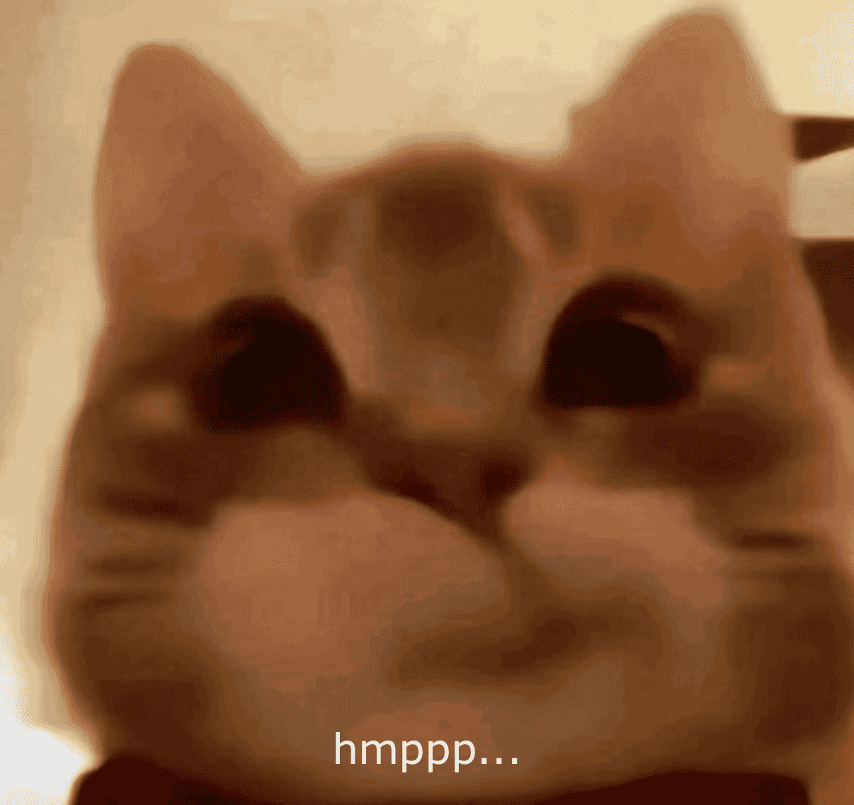 hmppp_cat emote for Discord