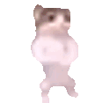 catfistbump emote for Discord