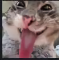 Gatitolenguino emote for Discord