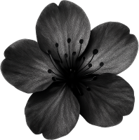 Blacksakuraflower emote for Discord