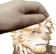 astosis_pet emote for Discord