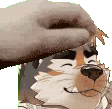 strio_pet emote for Discord