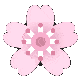 cherryblossomspin emote for Discord