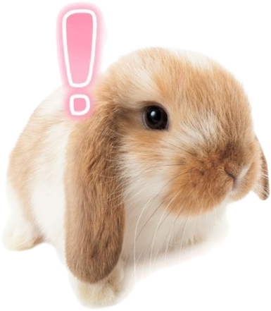 bun emote for Discord