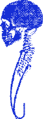 Skull13 emote for Discord