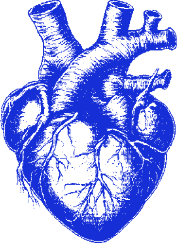 Heart33 emote for Discord