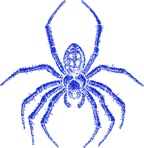Spider_20 emote for Discord