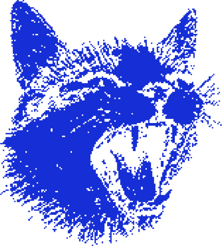 Cat6 emote for Discord