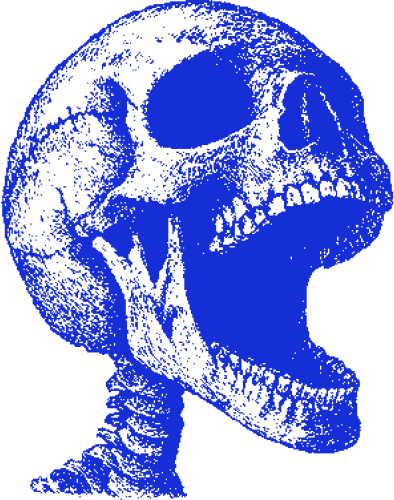 Skull19 emote for Discord