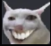 catheh emote for Discord