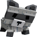 Racoon emote for Discord