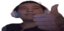 0ttolike emote for Discord