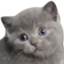 16flozConcreteMix emote for Discord