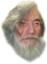 1ceboomer emote for Discord