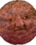 2thy emote for Discord