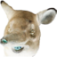 2ez4Drabl0Master69LOLTwit emote for Discord