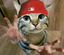 2000cat emote for Discord