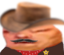 30Cowboy emote for Discord