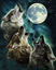 3wolfMoon emote for Discord