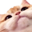 663965501722066954 emote for Discord