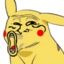 6921pikapog emote for Discord