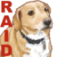 7Raid emote for Discord