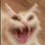 800080 emote for Discord