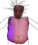 93KG emote for Discord