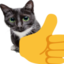 9578thumbsupcat emote for Discord