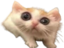 QUE emote for Discord