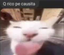 Qricopecausita emote for Discord