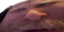 quinBRUH emote for Discord