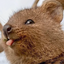 QuokkaBla emote for Discord