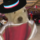 Quewea static emote for Discord, Twitch and Slack