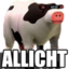 qastroAllicht emote for Discord