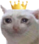queenCat emote for Discord