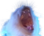 QuesitoScream emote for Discord