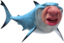 QuickShark emote for Discord
