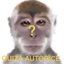 quizasEZZ emote for Discord