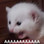 AAAAAAAAAAAA emote for Discord