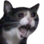 AAaaa emote for Discord
