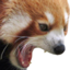 AAA emote for Discord