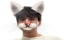 3dannymeow emote for Discord