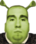 4Shrek emote for Discord