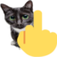 4287middlefingercat emote for Discord