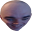 5bruce emote for Discord
